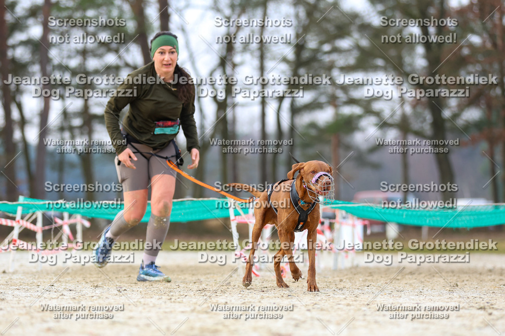 Dog Paparazzi - Strongdog North Mrz26-3973 | Dog Paparazzi Jeanette Grottendiek Fotografie & Videografie - Realisiert mit Pictrs.com