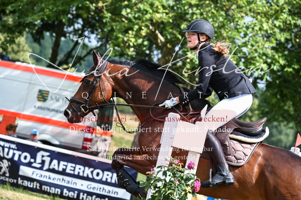 DSC_8500 | Pferde- und Turnierfotografie in Westsachsen. Pferdeportraits, Auftragszeichnungen und intuitive Kunst.
