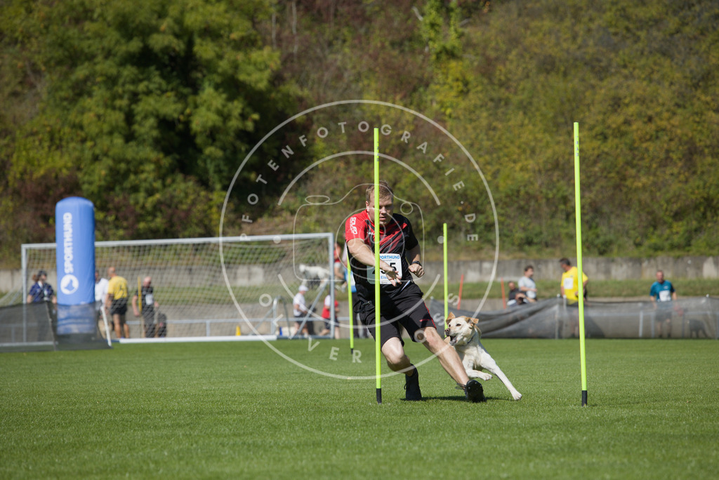 0L8A6101 | Hundefotografie, Tierfotograf, Pfotenfotografie, Fotoshooting Hund, Hunde Portrait, Hundesport, Hundeportraits, Heideshooting, Hunde, Sportfotograf, Hundefotograf, Turnierhundsport, THS,  - Realisiert mit Pictrs.com