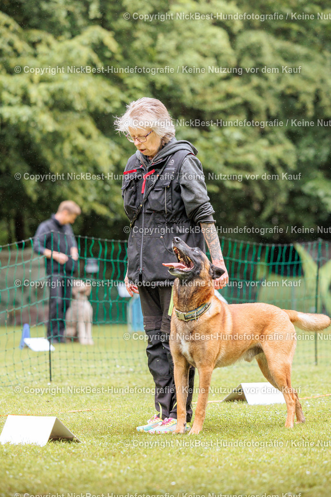 RO-Blumenthal-2026-Nickbest-Hundefotografie-4126 | Dein Hund! Dein Moment! Deine Erinnerungen! Hundefotografie in Bremen Blumenthal. Ich fange die besonderen Momente deines Vierbeiners ein – ob Indoor mit Blitzanlage oder in der freien Natur. Sicher dir dein Moment und dein Termin für eure Erinnerungen.