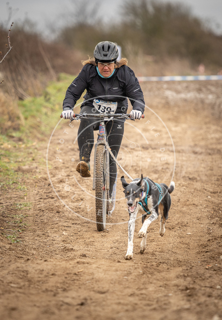 DV3A1385 | Hundefotografie, Tierfotograf, Pfotenfotografie, Fotoshooting Hund, Hunde Portrait, Hundesport, Hundeportraits, Heideshooting, Hunde, Sportfotograf, Hundefotograf, Turnierhundsport, THS,  - Realisiert mit Pictrs.com