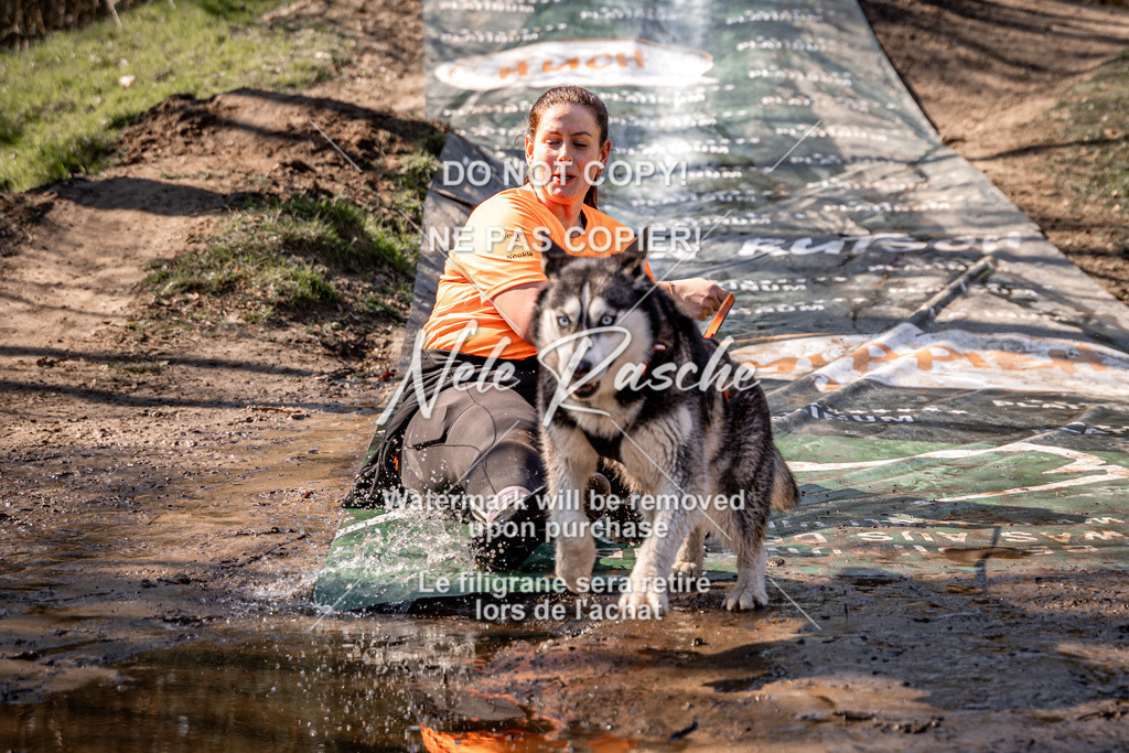 nelerasche_Hulsbeek_So1230-1300_163 | nelerasche