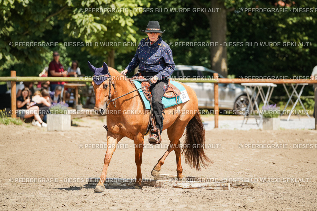 DSC06804 | Pferdegrafie