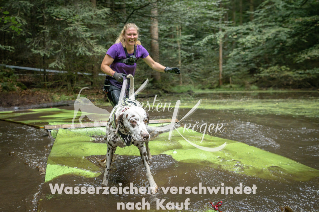 1530_ZZ91019-Bearbeitet | kk-dogfotos