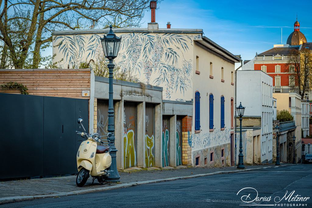 _DSC4488 | Fotografien, Fotos und Bilder aus Mainz, Frankfurt, Wiesbaden und anderen Orten auf der Welt - Fotografiert von Darius Metzner