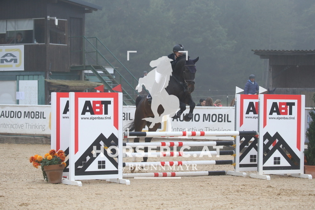 DL2Q2822 | Willkommen bei Brunnmayr - Design & Fotografie – Ihrem Spezialisten für Reitturniere und Pferdeveranstaltungen in Oberösterreich, Salzburg und Bayern! Seit über 17 Jahren sind wir leidenschaftlich dabei.