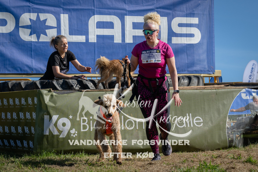 1000_ZZ97155 | kk-dogfotos
