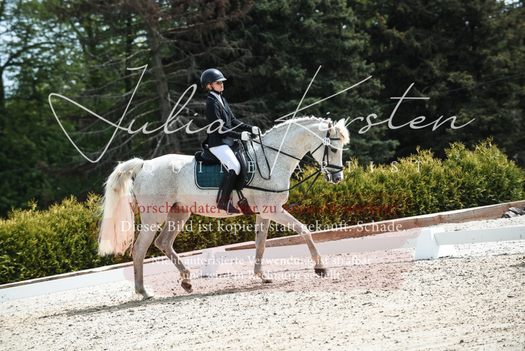 20230518_JK-Röhrsdorf-11-0590 | Pferde- und Turnierfotografie in Westsachsen. Pferdeportraits, Auftragszeichnungen und intuitive Kunst.