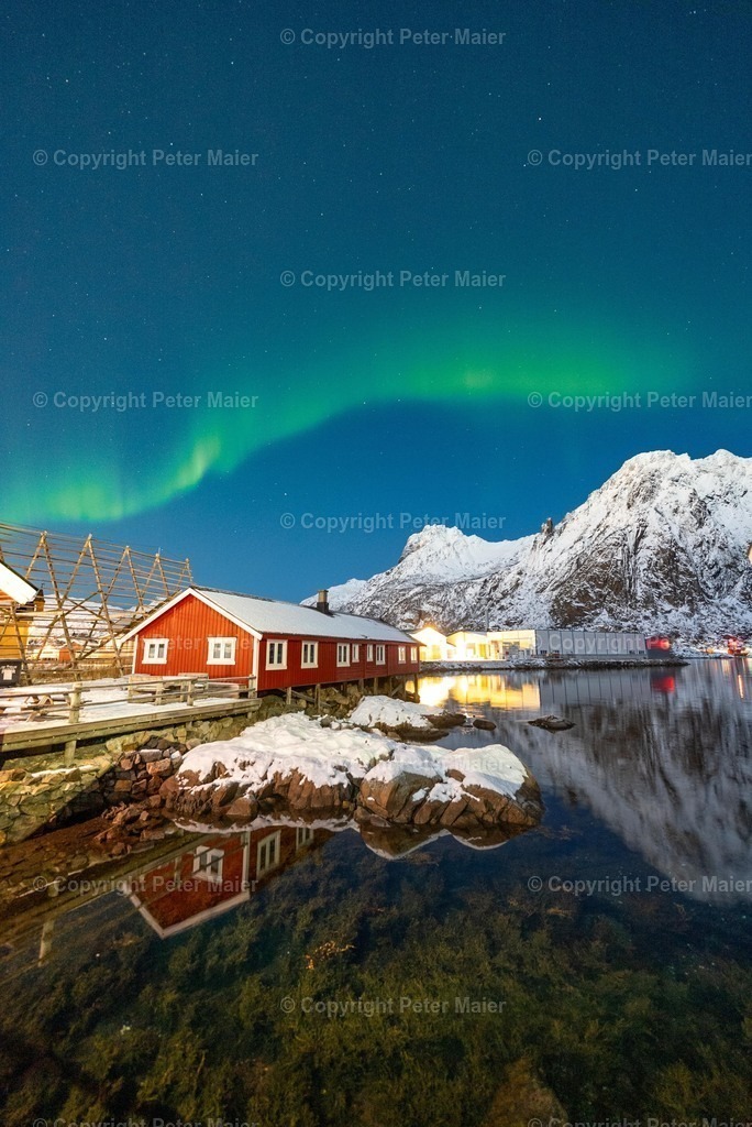 Lofoten_Nov_2023_Peter_Maier-4664 | piet_flosse