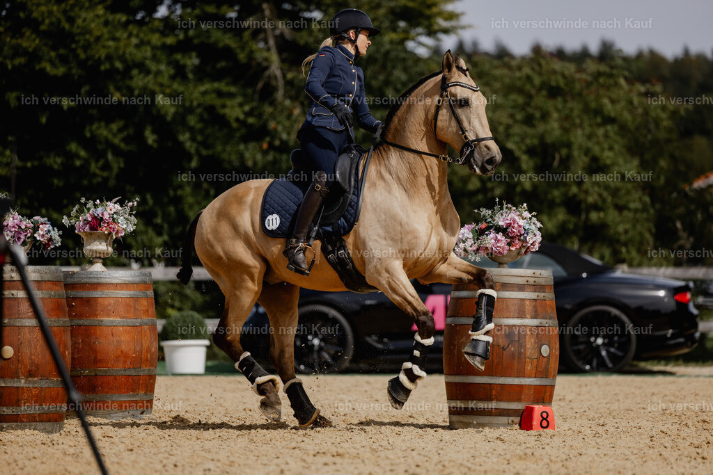 Diana11_FHC2025-20582 | working equitationturnier fotograf videograf stoibphotography marixx film working equitation deutschland reitsport turnierfotografie eventfotografie equestrian events