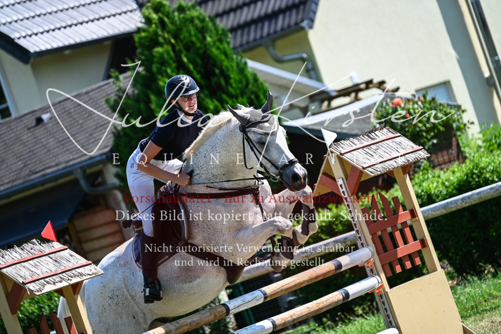 DSC_1094 | Pferde- und Turnierfotografie in Westsachsen. Pferdeportraits, Auftragszeichnungen und intuitive Kunst.