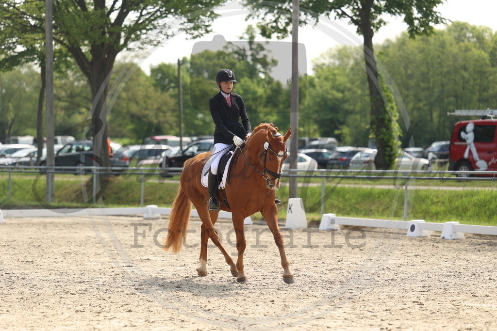 994A6634 | sabrinanicolaifotografie - Realisiert mit Pictrs.com