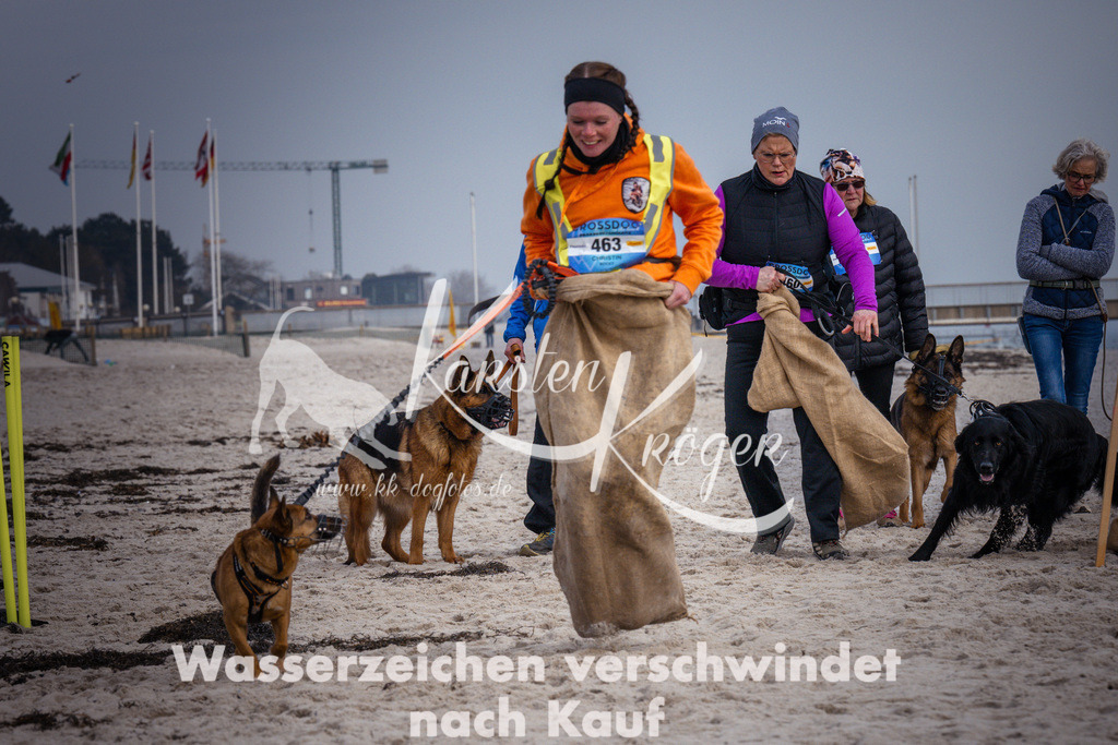 1304_ZZ98350 | kk-dogfotos