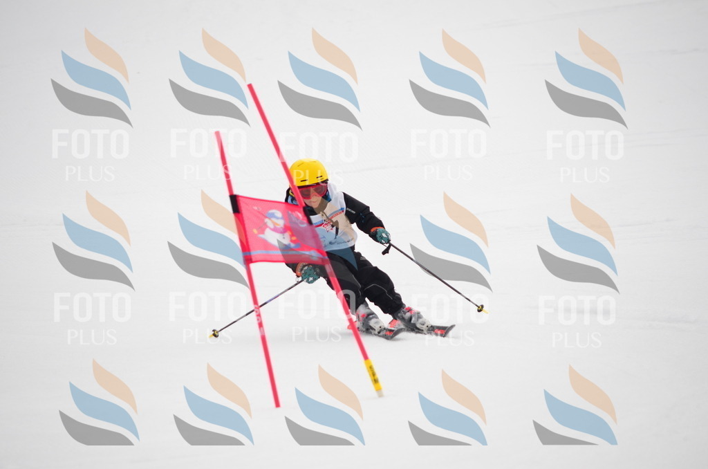 C0116 | holidayphoto