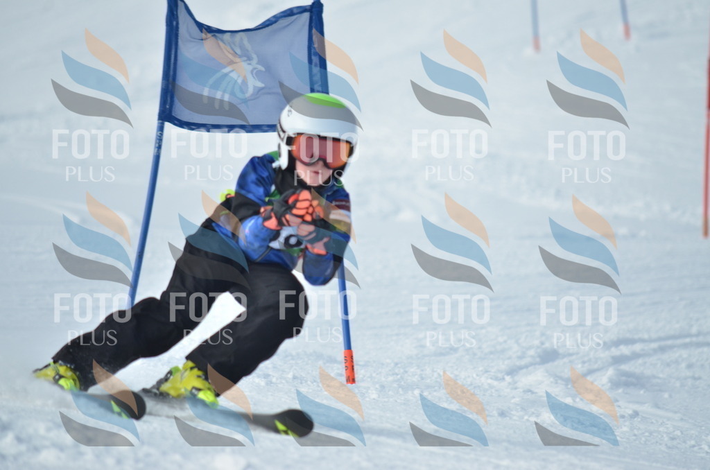 D8688 | holidayphoto