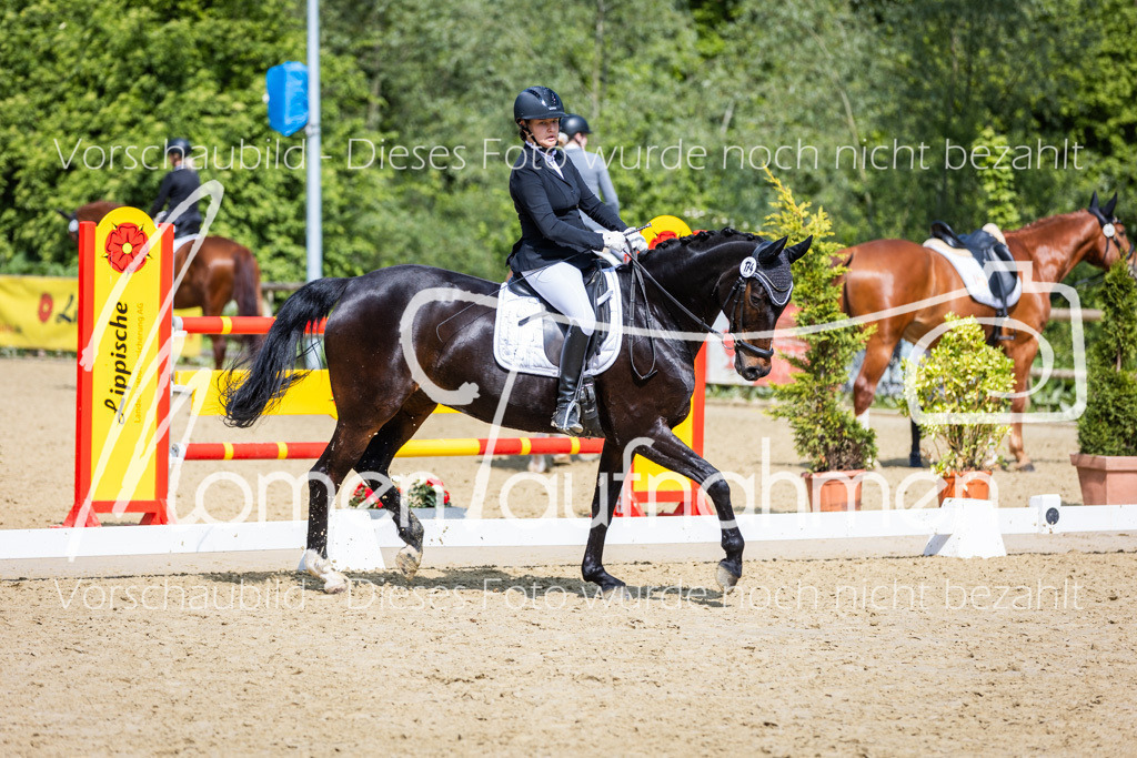 Donop24-L-Dre-027 | MomenTaufnahmen Pferdesportfotos