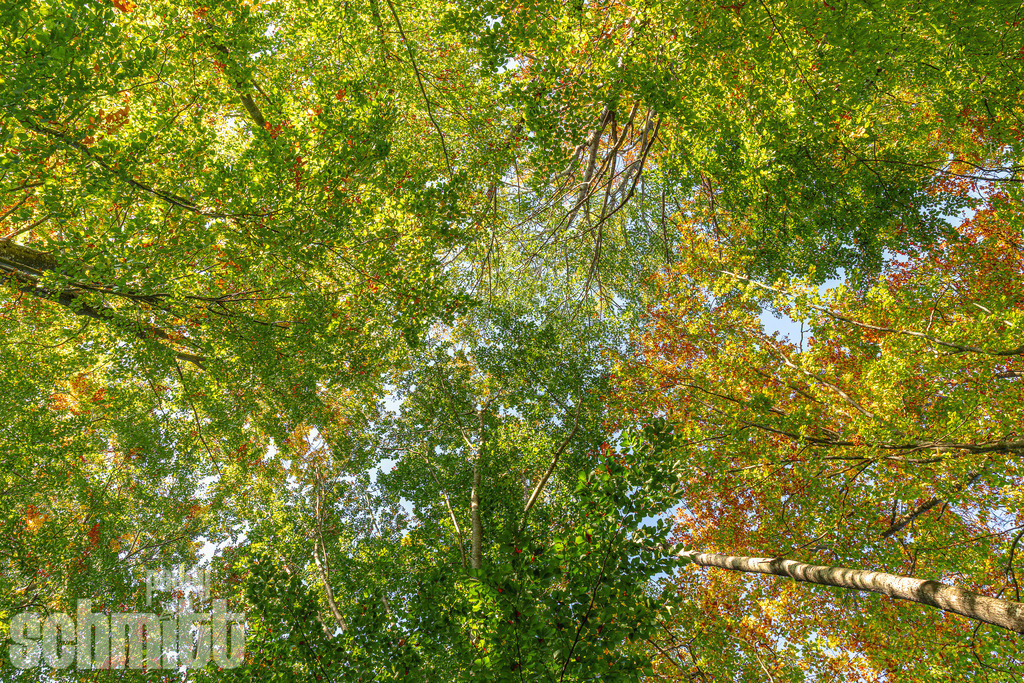 PS-Natur-2026-91 | Entdecke die größte Bildgalerie der Region mit Fotografien aus dem Allgäu, der Bodenseeregion, Oberschwaben, dem Donautal und der Schwäbischen Alb. Landschaften, Luftaufnahmen und Reisefotografie als Wandbild und Fotokunst. - Realisiert mit Pictrs.com