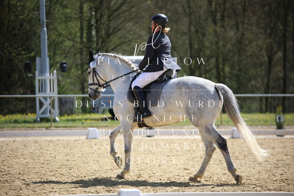 IMGT2705 | pl-fotografie