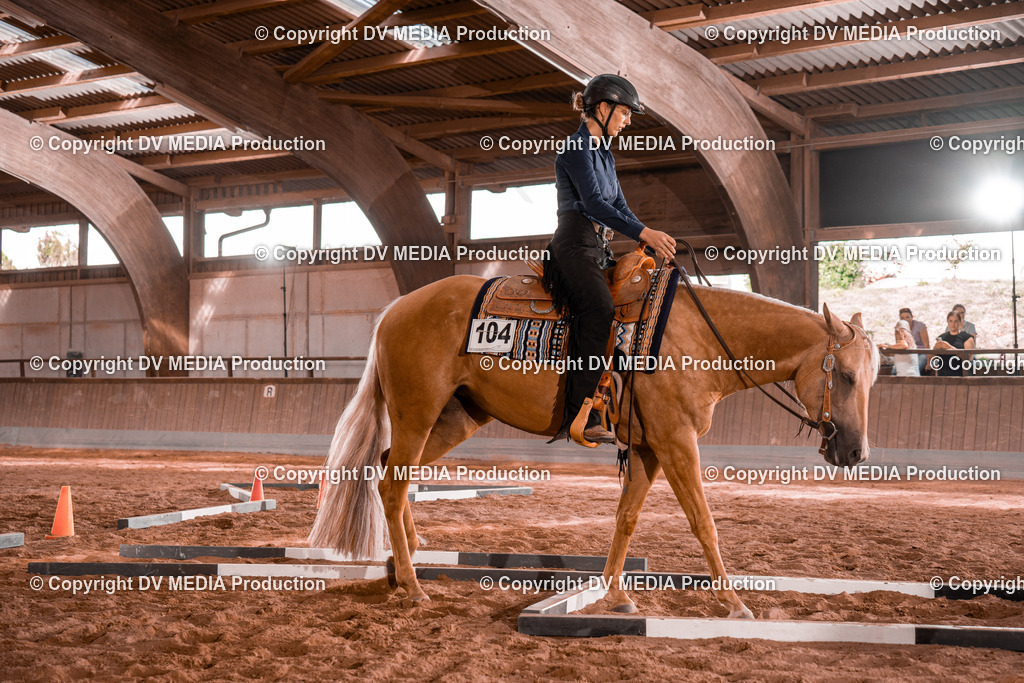 NE200221 | dv-media-shop - Realisiert mit Pictrs.com