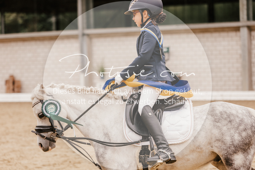 3I6A0018 | Stimmungsvolle Portraits und Reitsportfotografie im Ruhrgebiet und im Münsterland.

Pferdefotografie, Hundefotografie, Tierfotografie, Reportagen, Portraits von Tier und Mensch, Turnierfotografie in Bochum, Recklinghausen, Marl, Haltern am See, Dülmen.. - Realisiert mit Pictrs.com