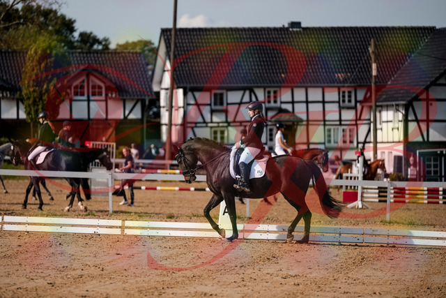 2026_10_03_Siefer-Hof_121441_Z63_39916247 | Professionelle Reitsport-, Turnier- und Eventfotografie von Robert Broda. Galerien mit ausgewählten und bearbeiteten Bildern direkt online ansehen und bestellen.