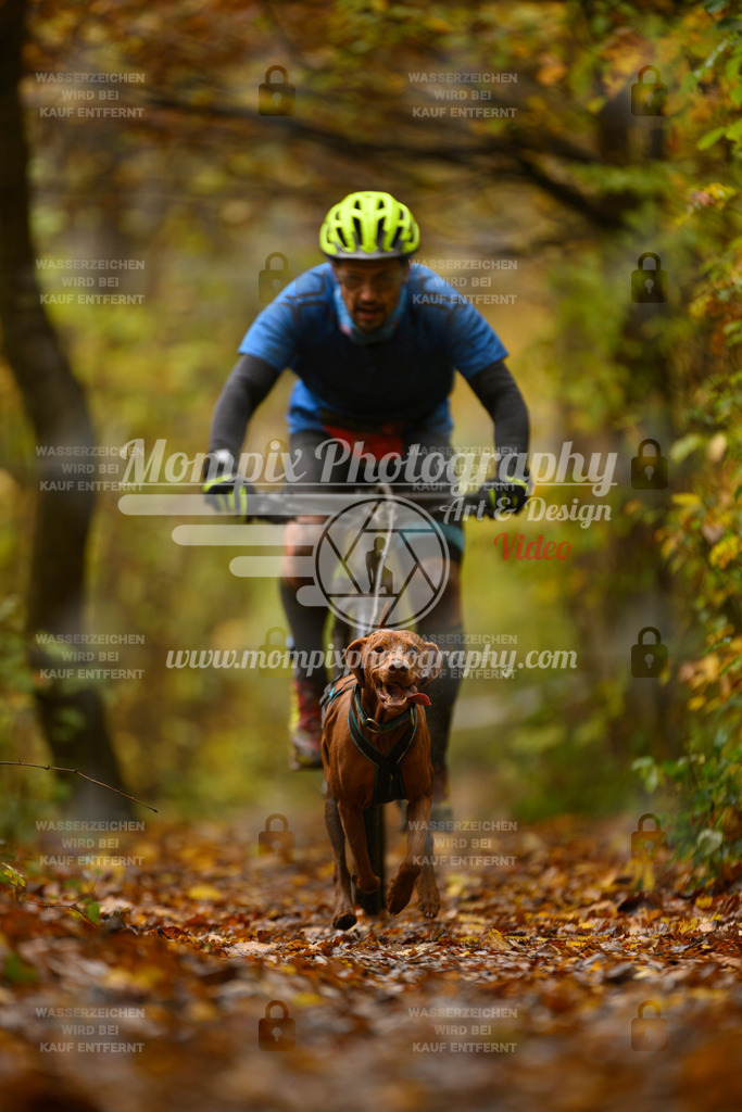 MompixPhotography_CD7S_DI_Bike-32 | mompixphotography