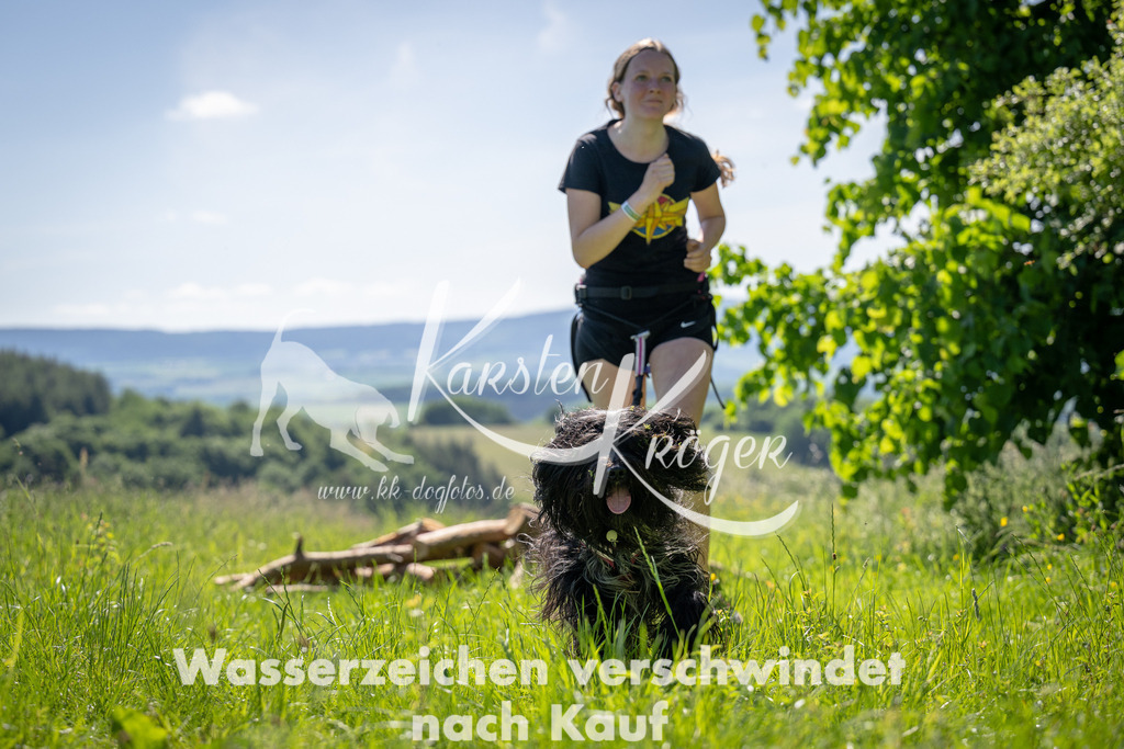 1035_ZZ93449 | kk-dogfotos