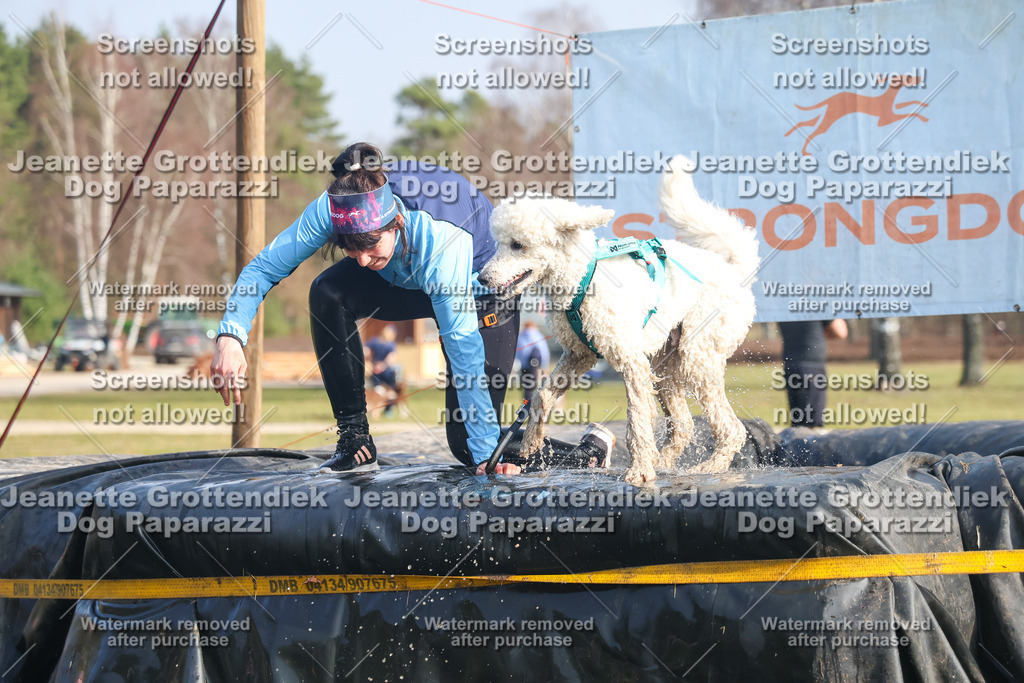 Dog Paparazzi - Strongdog North Mrz26-2156 | Dog Paparazzi Jeanette Grottendiek Fotografie & Videografie - Realisiert mit Pictrs.com