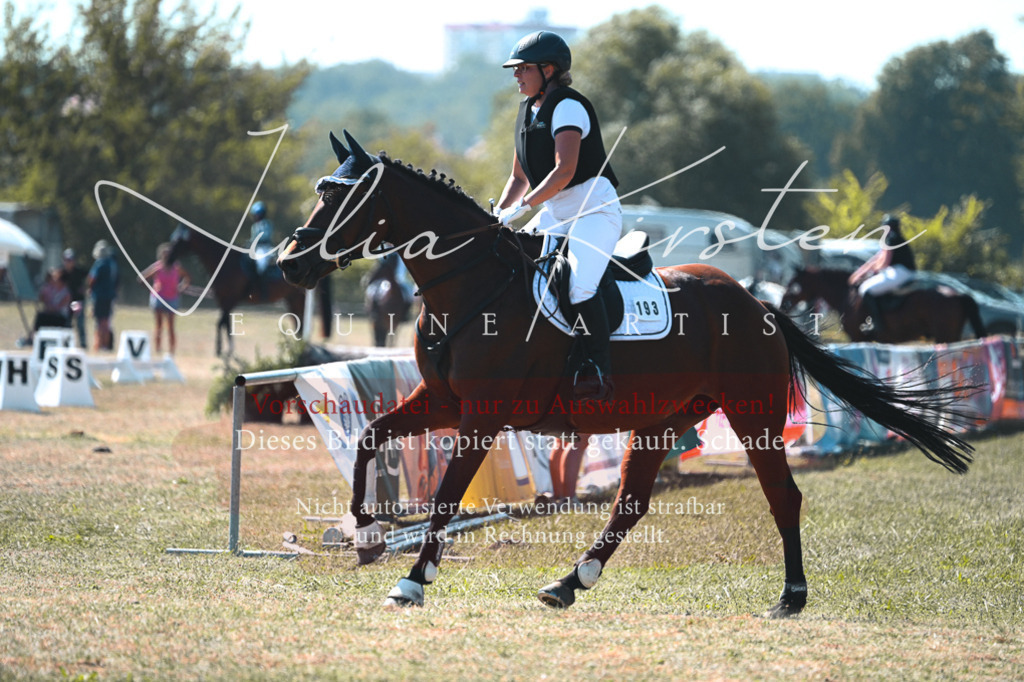 DSC_8144 | Pferde- und Turnierfotografie in Westsachsen. Pferdeportraits, Auftragszeichnungen und intuitive Kunst.