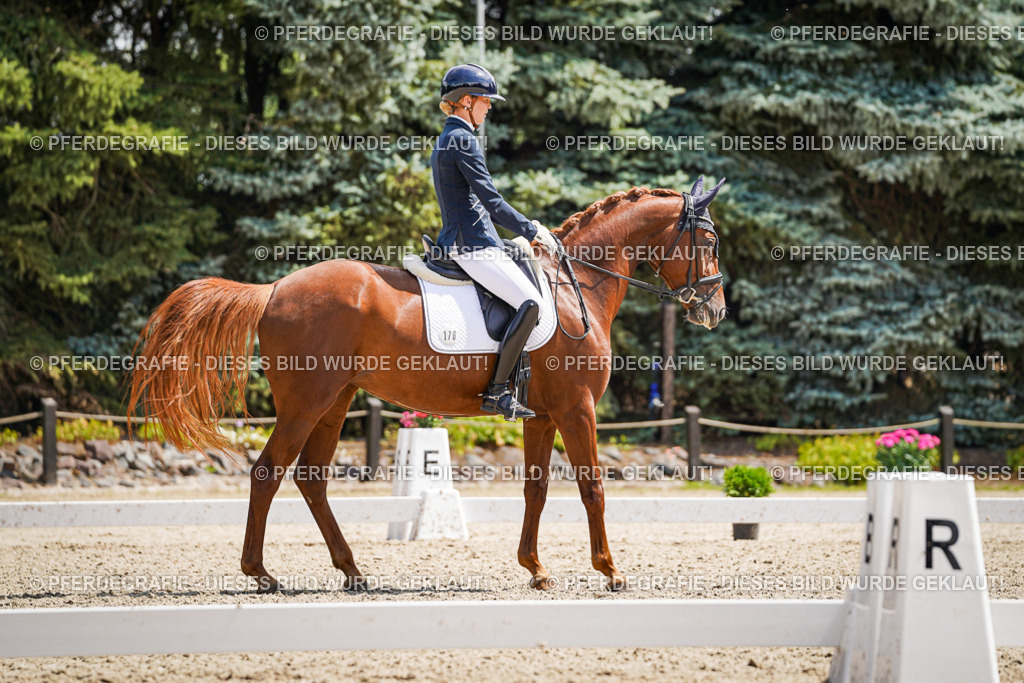 DSC00987 | Pferdegrafie