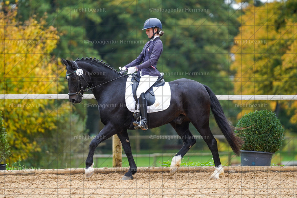 20221008-FAH01539 | Diessen am Ammersee, 2022, Dressur- und Springturnier, Reitsportbilder, Turnierfotografen Bayern, Pferdefotografen, Fotoagentur Herrmann, Turnierbilder