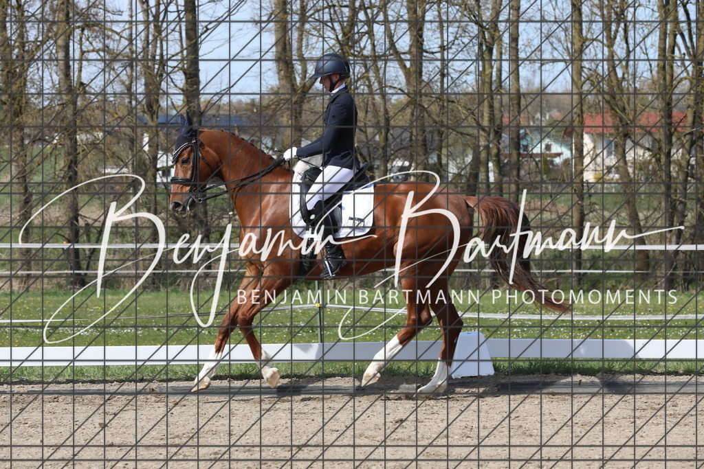 AZ2A5944 | Benjamin Bartmann Photomoments