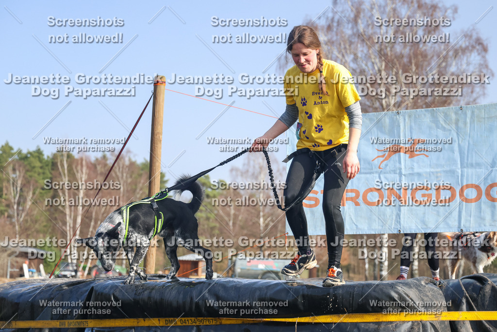Dog Paparazzi - Strongdog North Mrz26-2386 | Dog Paparazzi Jeanette Grottendiek Fotografie & Videografie - Realisiert mit Pictrs.com