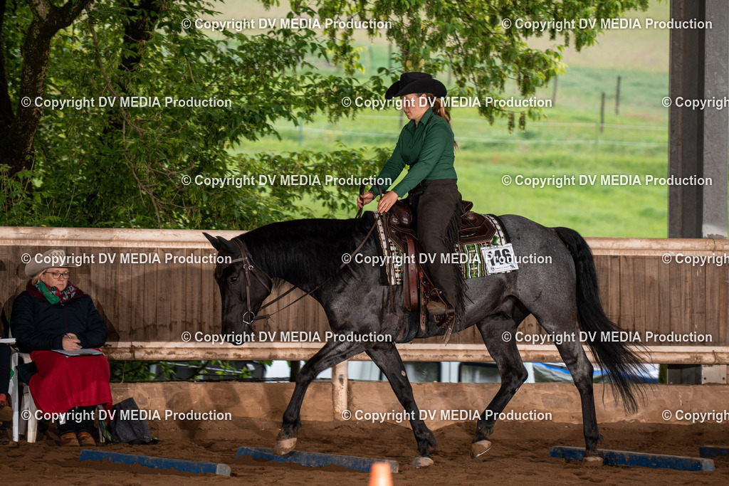 Erbach Tag 3-69 | dv-media-shop - Realisiert mit Pictrs.com