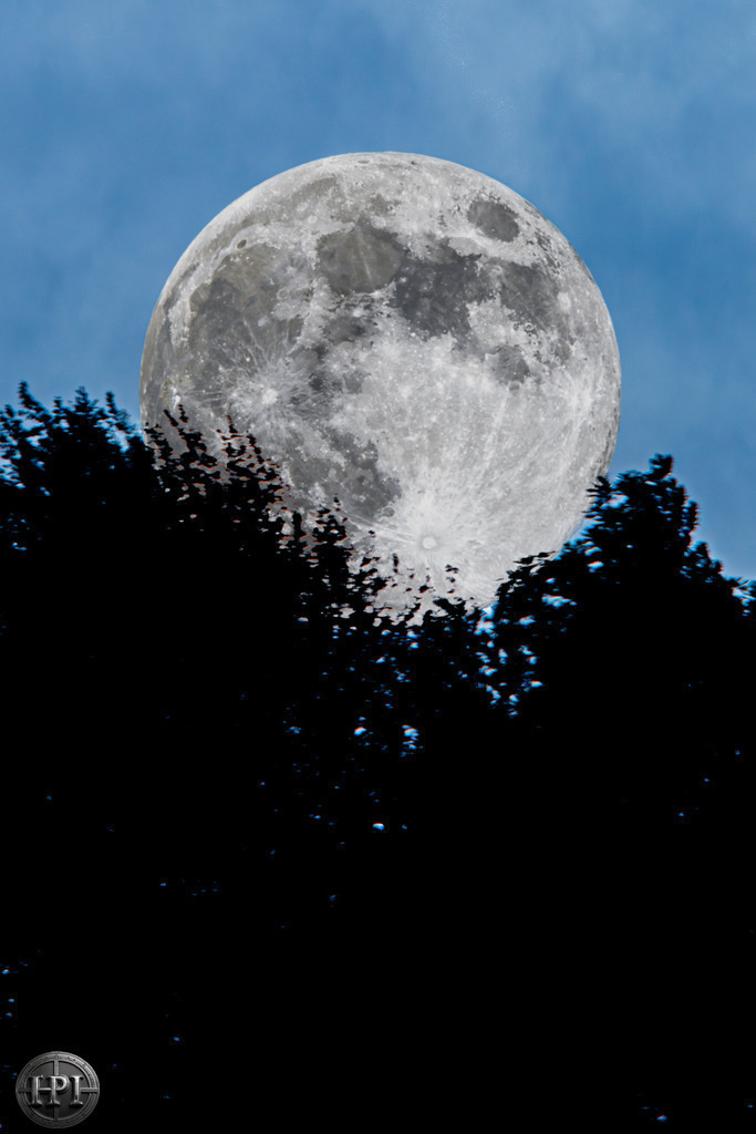 Moon | Holzisphotography, Landschaftsfotografie, Wildlifefotogorafie - Realisiert mit Pictrs.com