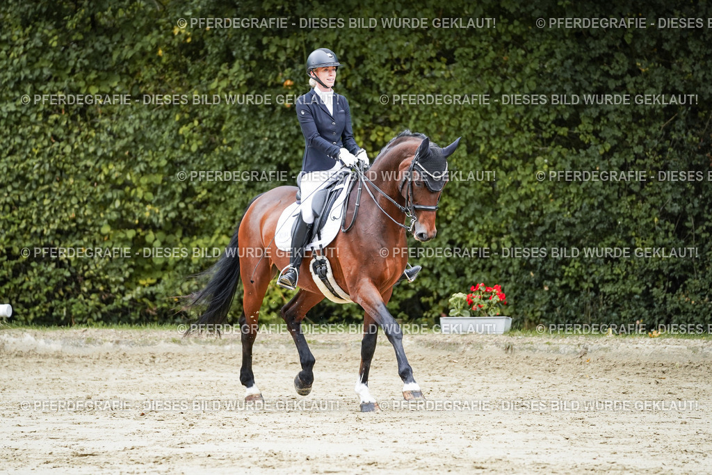 DSC09247 | Pferdegrafie