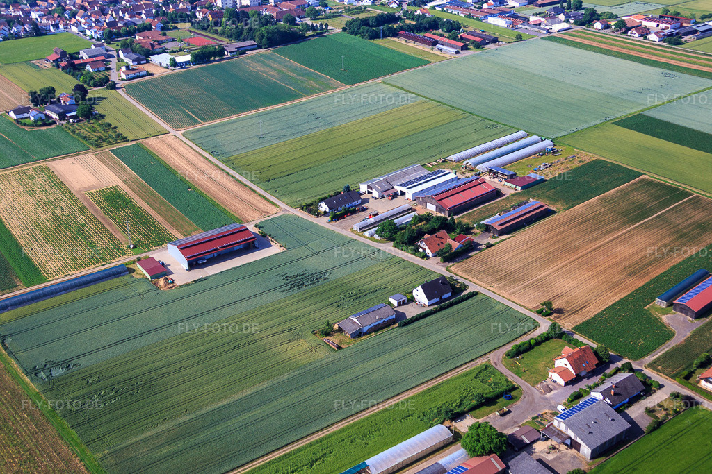 Luftbild: Aussiedlerhöfe am Wingertsberg von Kerner Andreas und Detzel GbR - Lagerhalle in Herxheim bei Landau im Bundesland Rheinland-Pfalz in Deutschland. Foto: IMG_080997.jpg vom 14.06.2015 durch Werner Riehm/FLY-FOTO.de