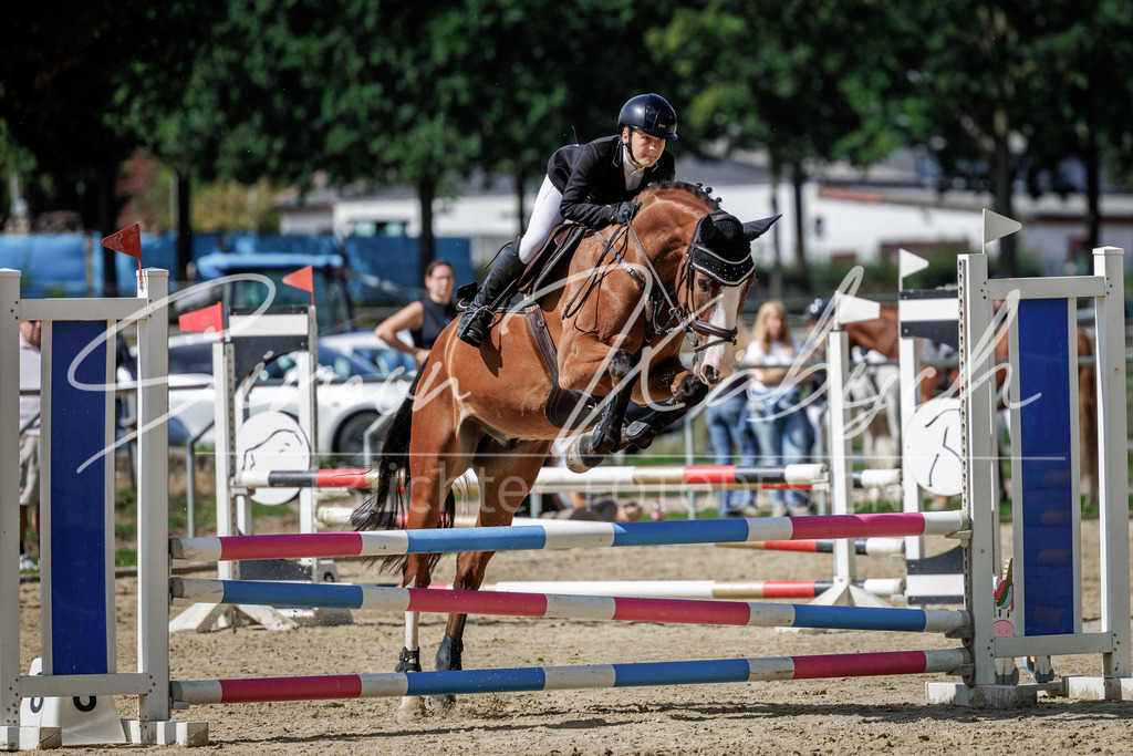 20260905-_3LI8685 | Tierfotografie Pferde, Hunde, Katzen, Haustiere.
Turnierfotografie Reitturniere, Reiten, Springreiten, Dressur in Hanau, dem Main-Kinzig-Kreis und dem Rhein-Main- Gebiet um Frankfurt