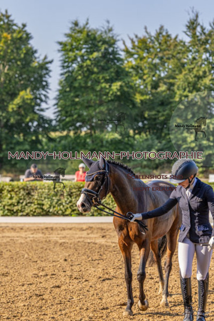 15.8.25 D1 RPF 3j (149 von 255) | mandyhollmannphotographie