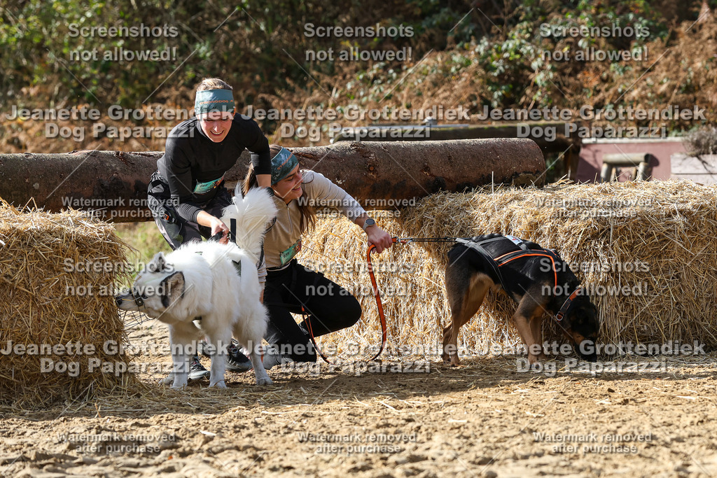 Dog Paparazzi - Strongdog 10-25-5665 | Dog Paparazzi Jeanette Grottendiek Fotografie & Videografie - Realisiert mit Pictrs.com