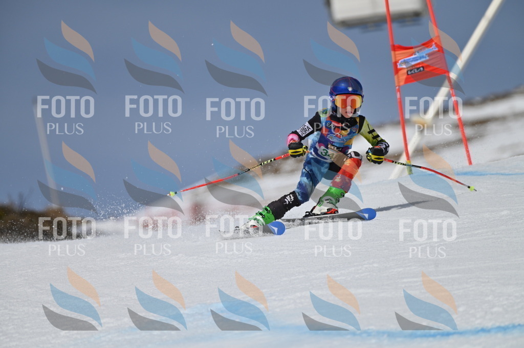 BGV_6817 | holidayphoto