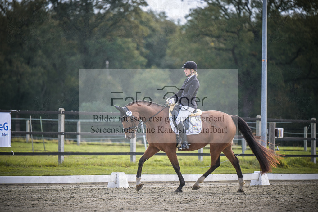 DOS_B196 | Entdecke hochwertige Reitturnierfotos von Foto Oger. Professionell, emotional und authentisch – jetzt Lieblingsmomente im Shop bestellen.Deutschlandweite Turnierfotografie. - Realisiert mit Pictrs.com