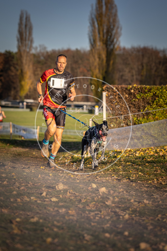 CaniXpix_DV3A4239 | Hundefotografie, Tierfotograf, Pfotenfotografie, Fotoshooting Hund, Hunde Portrait, Hundesport, Hundeportraits, Heideshooting, Hunde, Sportfotograf, Hundefotograf, Turnierhundsport, THS,  - Realisiert mit Pictrs.com