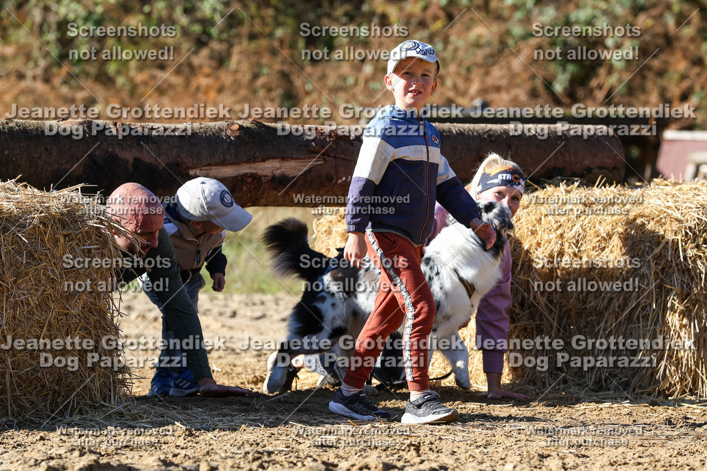 Dog Paparazzi - Strongdog 10-25-2722 | Dog Paparazzi Jeanette Grottendiek Fotografie & Videografie - Realisiert mit Pictrs.com