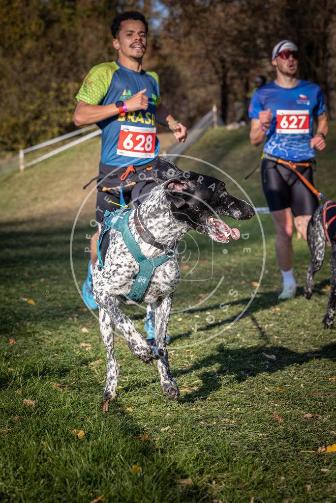 CaniXpix_0L8A8857 | Hundefotografie, Tierfotograf, Pfotenfotografie, Fotoshooting Hund, Hunde Portrait, Hundesport, Hundeportraits, Heideshooting, Hunde, Sportfotograf, Hundefotograf, Turnierhundsport, THS,  - Realisiert mit Pictrs.com