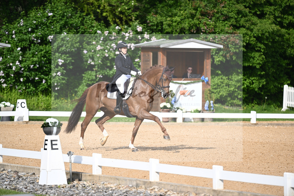 Rhomberg-Rochelt_D Rex RR_12241590 | hf-fotografie - Realisiert mit Pictrs.com