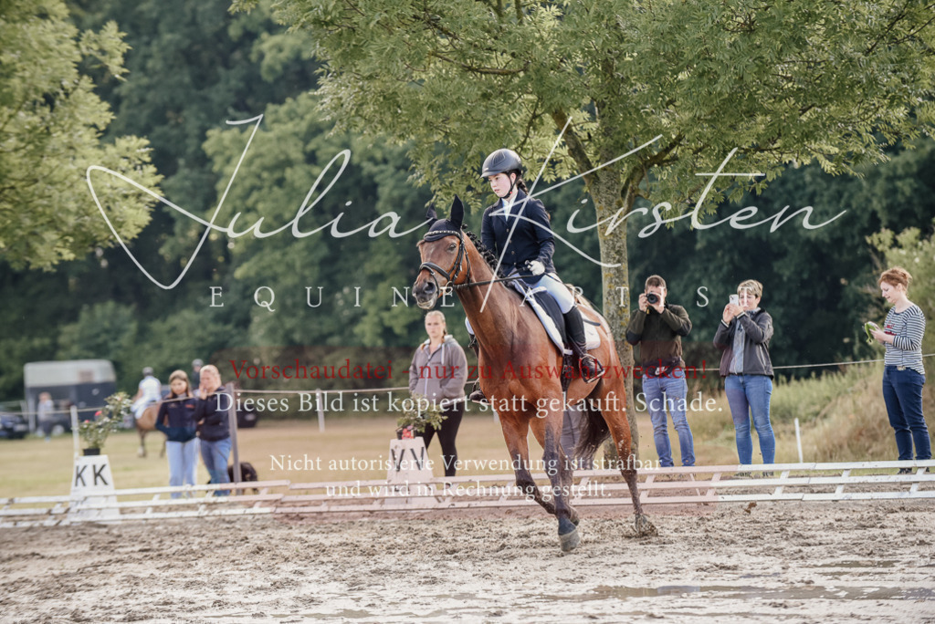 DSC_8015 | Pferde- und Turnierfotografie in Westsachsen. Pferdeportraits, Auftragszeichnungen und intuitive Kunst.