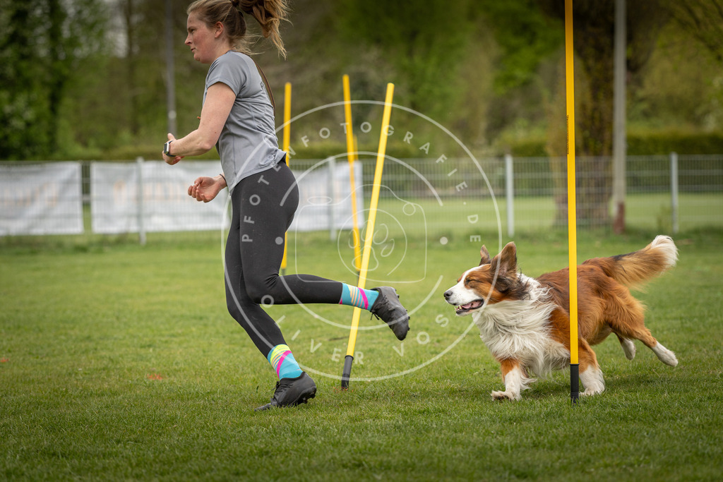 Pfotenfotografie_DV3A9491 | Hundefotografie, Tierfotograf, Pfotenfotografie, Fotoshooting Hund, Hunde Portrait, Hundesport, Hundeportraits, Heideshooting, Hunde, Sportfotograf, Hundefotograf, Turnierhundsport, THS,  - Realisiert mit Pictrs.com