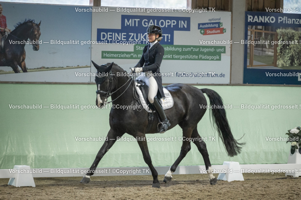 _D5A7086 | Emotionale Pferde- & People-Fotografie rund um Heidelberg, Leimen & Umgebung. Natürliche Fotos von Pferd, Mensch & Familie. Jetzt Termin sichern!