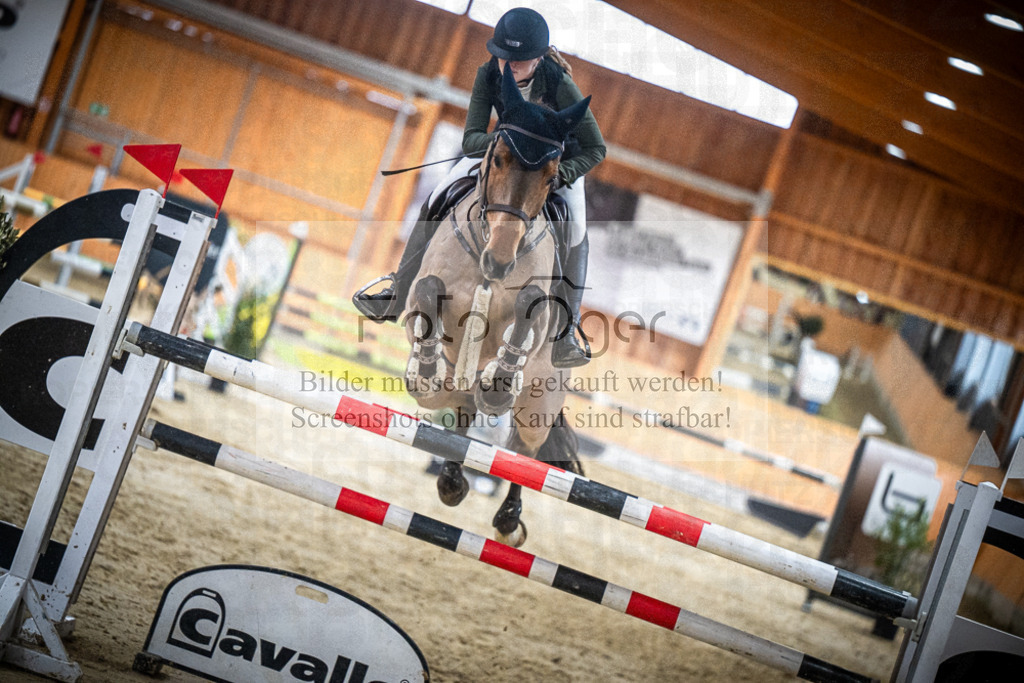 DOS_0698 | Entdecke hochwertige Reitturnierfotos von Foto Oger. Professionell, emotional und authentisch – jetzt Lieblingsmomente im Shop bestellen.Deutschlandweite Turnierfotografie. - Realisiert mit Pictrs.com
